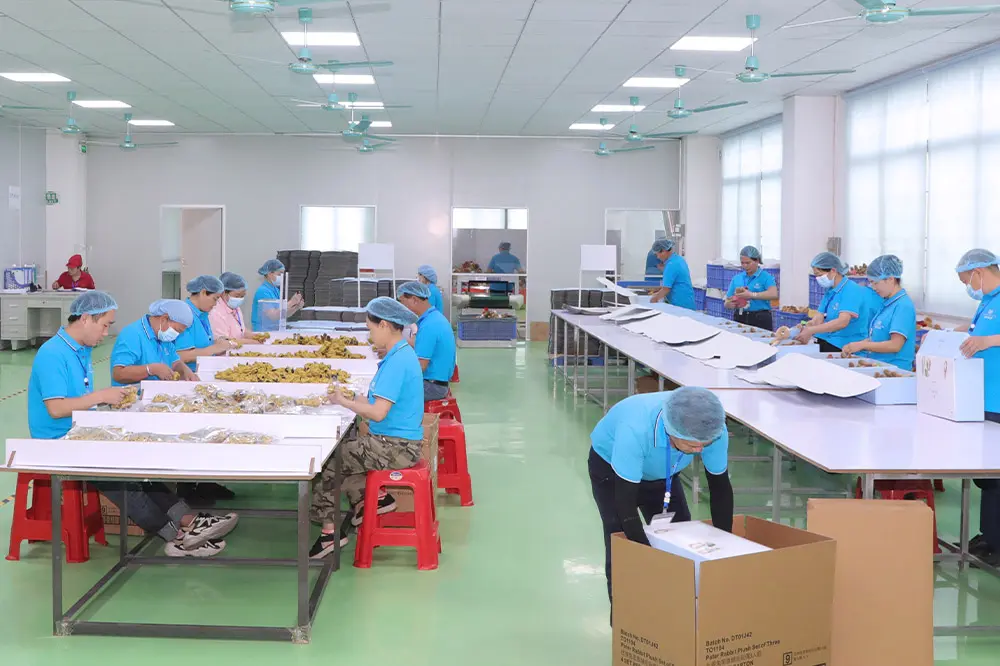 Plush toy packing and finishing workshop with workers sorting small plush items