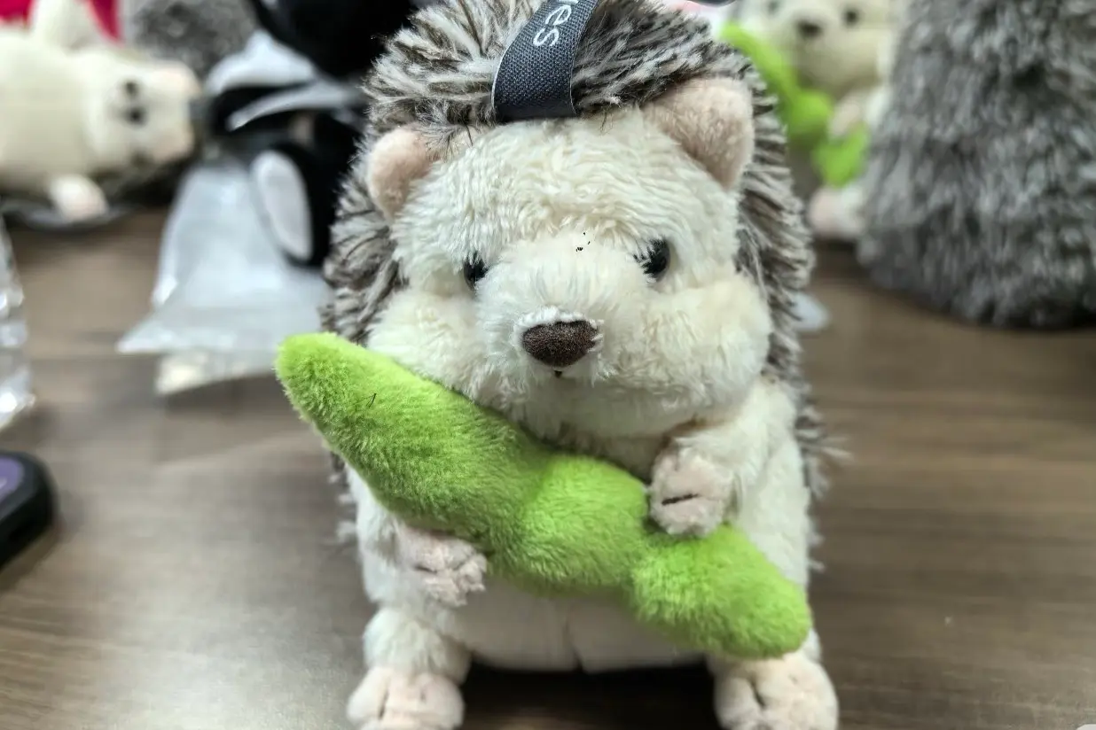 Hedgehog plush sample review with small accessory and face details