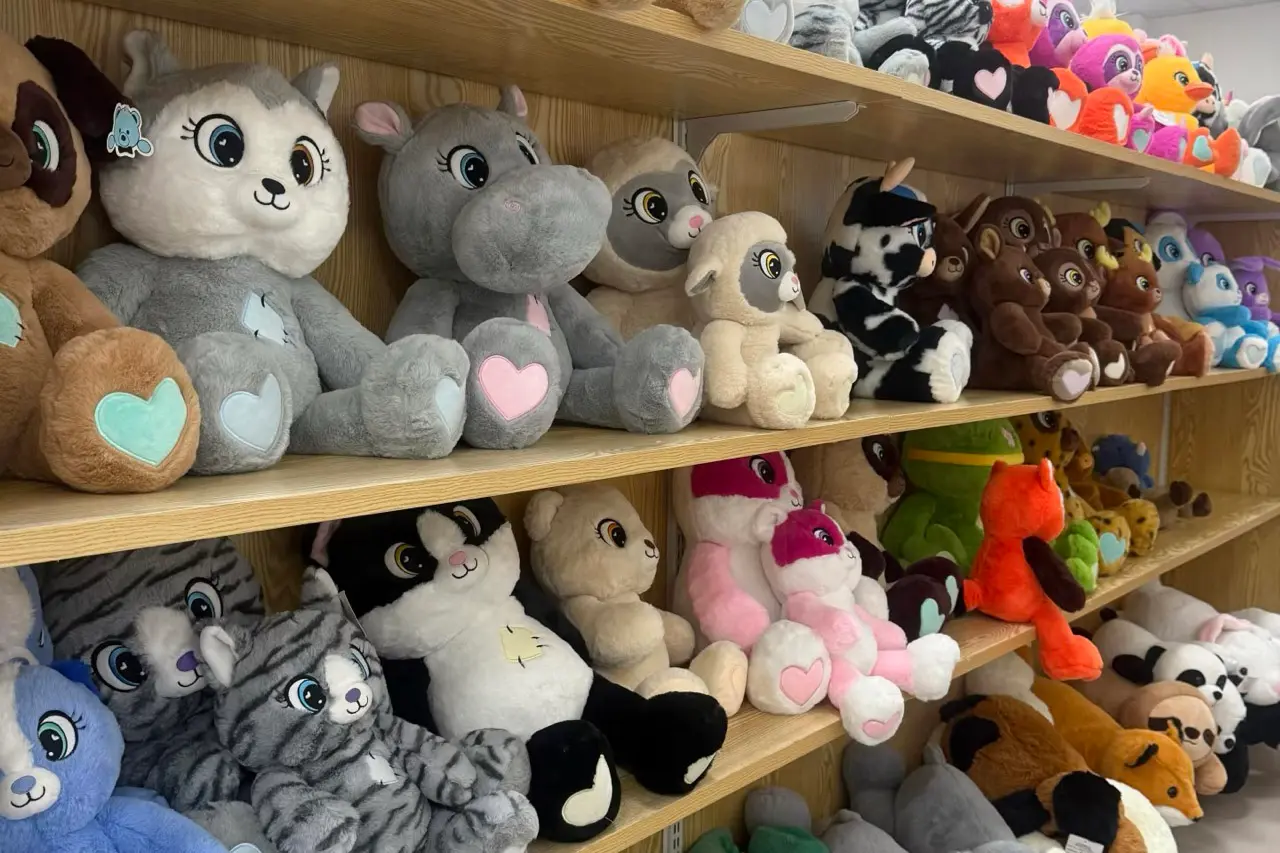 Animal plush samples displayed on wooden shelves in the sample room